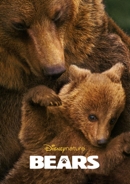 Bears at El Capitan, Hollywood