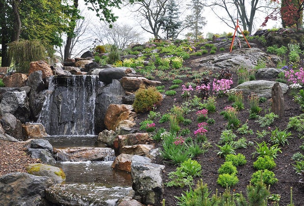 See the flowers and at waterfall on Father's Day in Westchester at Untermyer Gardens