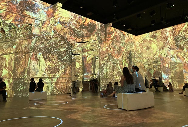 njoying Immersive Van Gogh in Chicago with Kids: be in the middle of the art