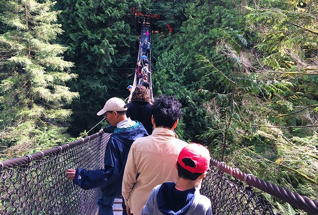  Best Things To Do in Vancouver, BC:  Lynn Canyon Park