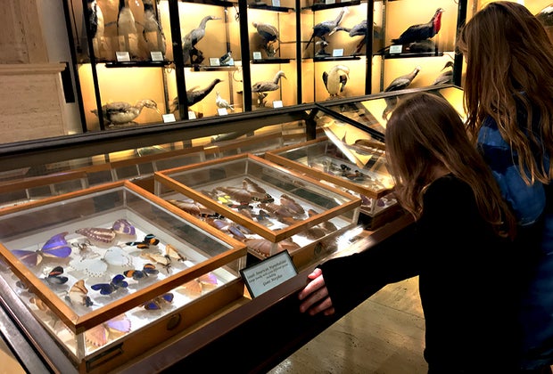 Vanderbilt Museum with kids