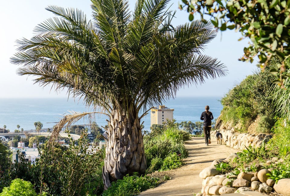Ventura Botanical Garden is free on New Year's Day. Photo courtesy of Visit Ventura