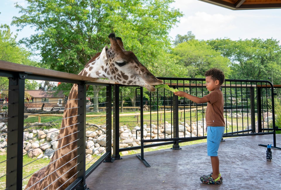 Photo courtesy of the Potawatomi Zoo