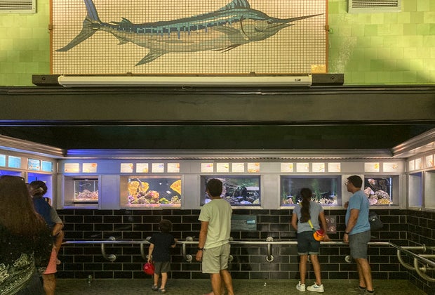 Detroit, Michigan with Kids: Belle Isle Aquarium