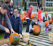 Pumpkinfest in Needham, MA benefits Boston Children's Hospital. Photo courtesy of Volante Farms