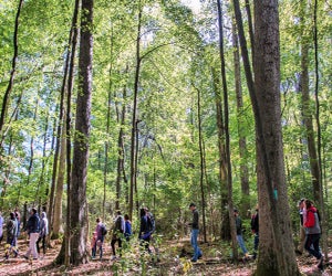Walk in Penn's Woods. Photo by Laura Kirt