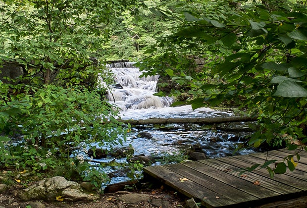 Image of trail along a waterfall at Bartlett Arboretum.