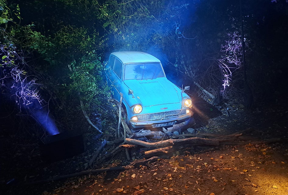 Local kids could immerse themselves in the Wizarding World this year thanks to the Harry Potter Forbidden Forest experience in FDR State Park. Photo by  Katherine Dhurandhar