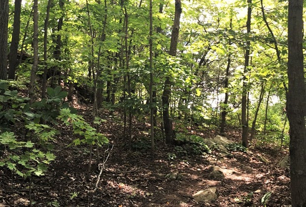 Mills Norrie State Park