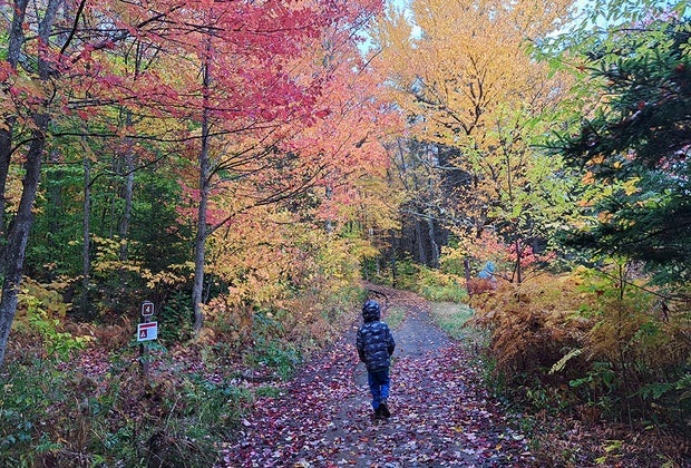 Heart Lake : Family hikes to view fall leaves