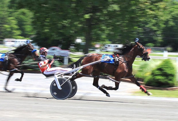 Goshen with Kids Harness Racing Museum & Hall of Fame