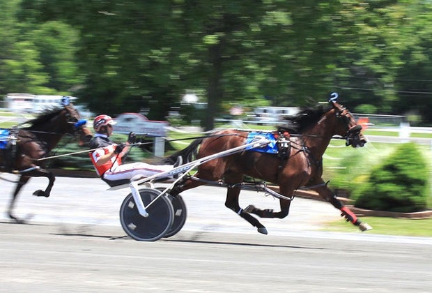 Goshen with Kids Harness Racing Museum & Hall of Fame