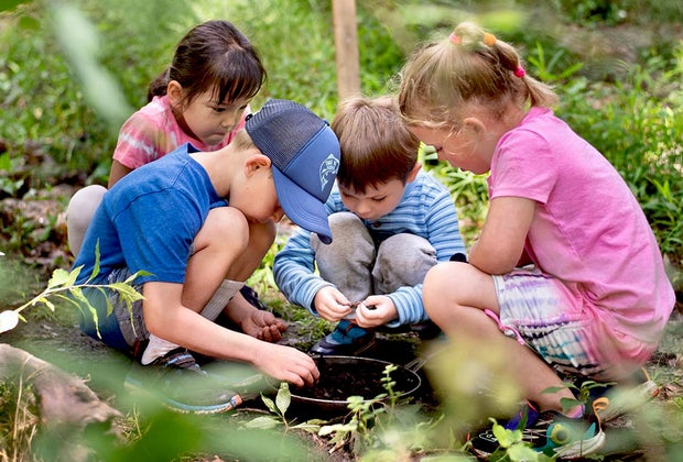 Things To Do in Rye with Kids: Rye Nature Center