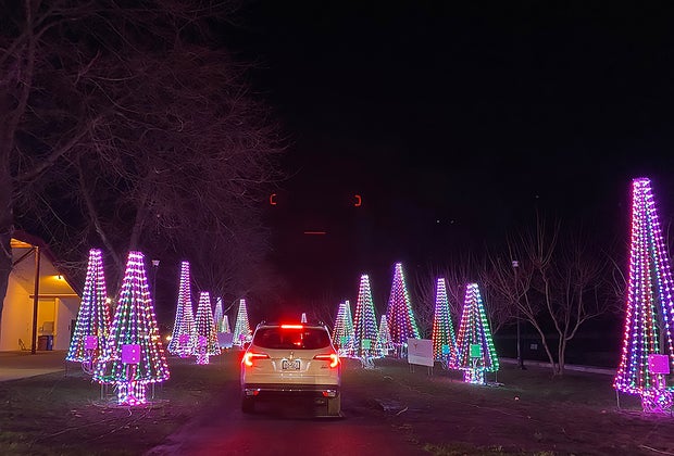 Illuminated Chrismtas trees line Westchester's Winter Wonderland
