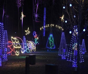 Play peek-a-boo with the elves as you pass by at Westchester's Winter Wonderland. Photo courtesy of  Westchester Parks Foundation
