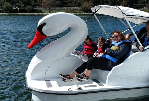 Things To Do in Anaheim with Kids: Swan Boats at Yorba Regional Park