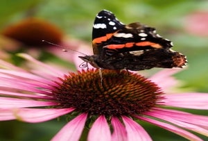 Photo courtesy of the venue