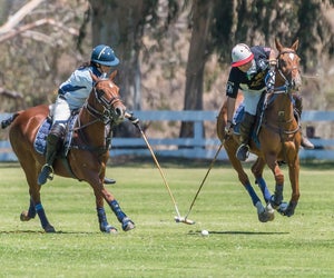 Don't forget the divot stomp after the match! Photo courtesy of the Will Rogers Polo Club, Facebook