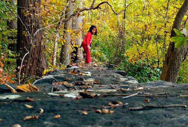 Brandywine Creek State Park Best Things To Do in Wilmington, Delaware