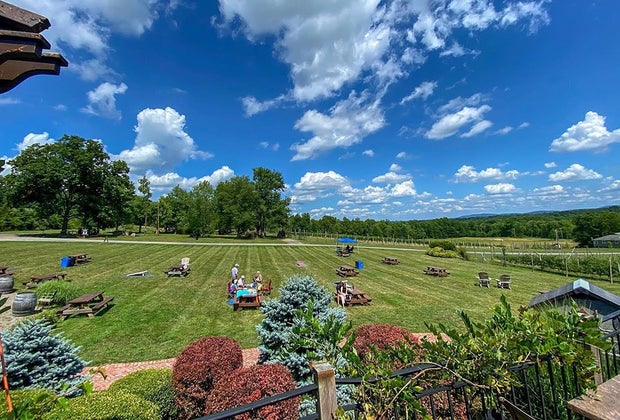 There's plenty of space to spread out and enjoy the vibe at Robibero Family Vineyards