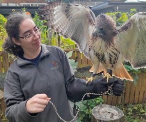 The right school break camp will help a child find their flock! Winged Wonders at Earthplace, photo by Hailey Lubliner