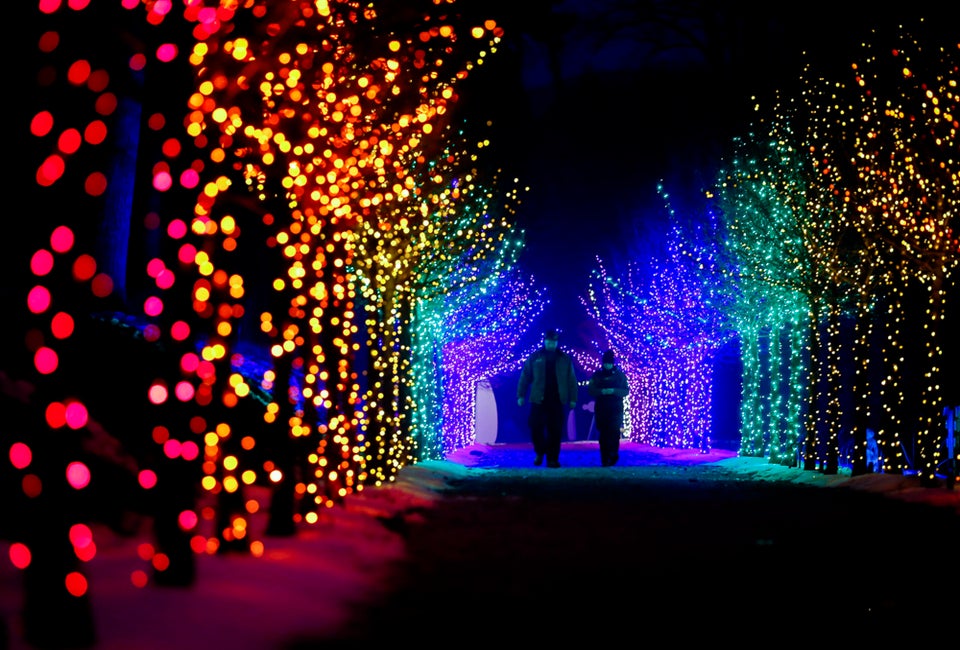 Make the season bright with best holiday lights drive-thrus and Christmas light shows in Boston! Naumkeag Winterlights photo by Stephanie Zollshan Photography, courtesy of The Trustees of Reservations 