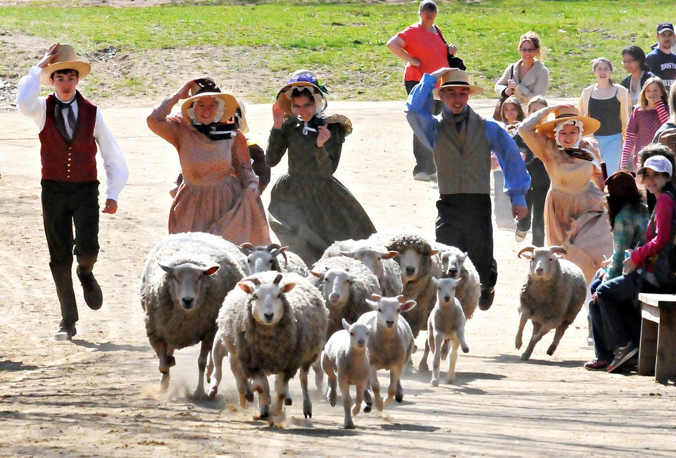 Wool Days fun is afoot this weekend! Photo courtesy of Old Sturbridge Village 
