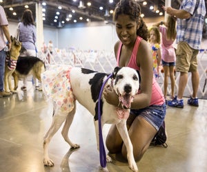 It's a paw-ty for dog lovers of all ages at the Houston World Series of Dog Shows. Photo courtesy of Houston World Series of Dog Shows. 