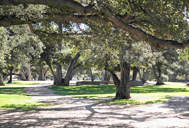 Perfect Spots for Your LA Baby's First Birthday Party: Crescenta Valley Park