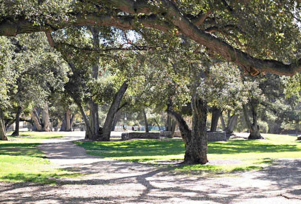 Perfect Spots for Your LA Baby's First Birthday Party: Crescenta Valley Park