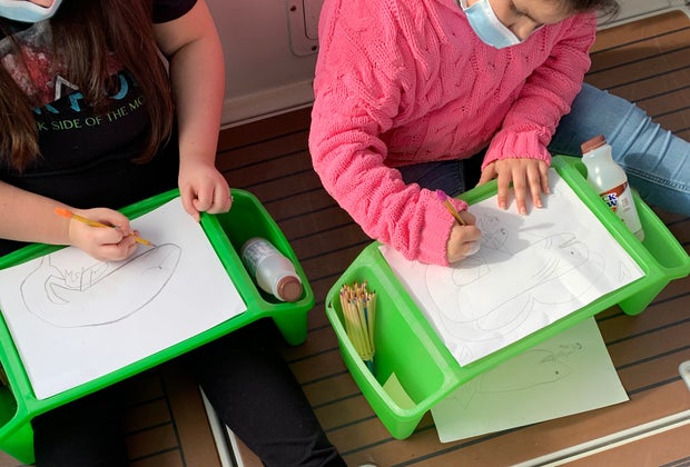 25 Things To Do with Kids in Dana Point: Wylands Whale & Dolphin Adventure