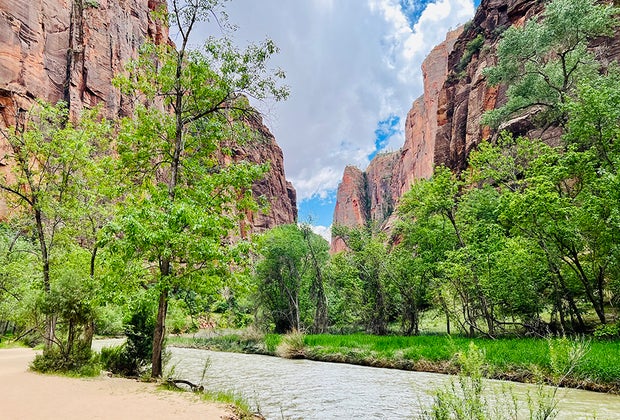 Zion National Park: A Guide for Families: Pa’rus Trail at Zion
