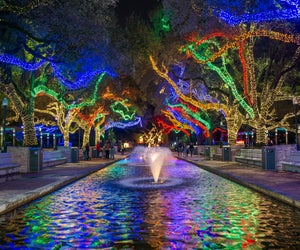 See the zoo after dark and experience a beautiful holiday lights display. Photo courtesy of Houston Zoo.